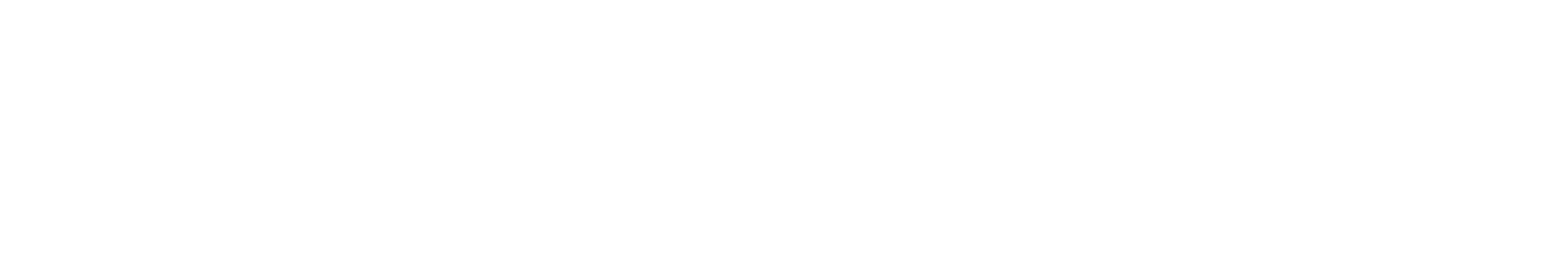 Element Outfitters logo
