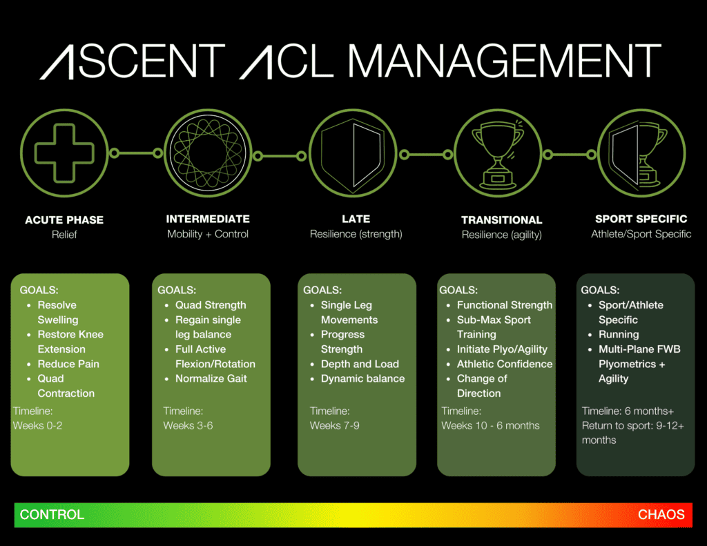 Info-graphic of ACL treatment stages